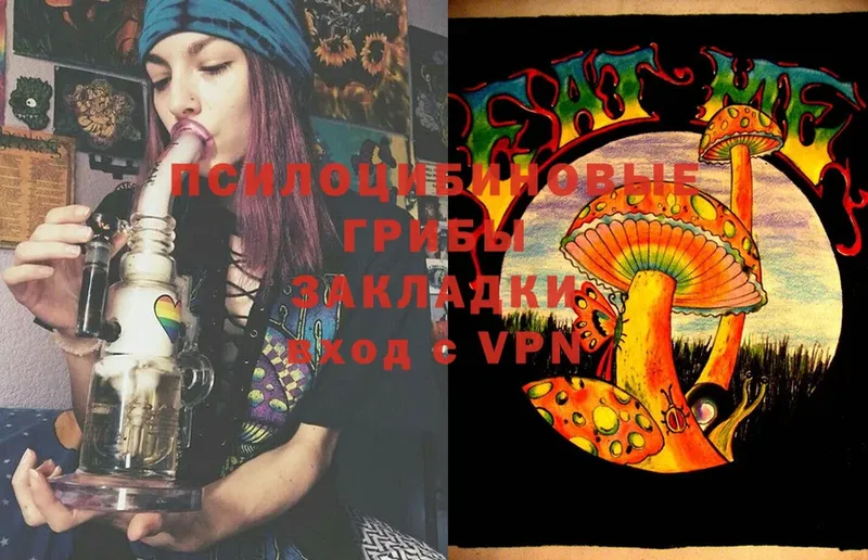 Галлюциногенные грибы Magic Shrooms  Лебедянь 